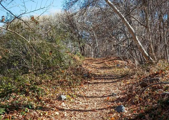 Сasa de vacaciones Creekside 94 Near Valley Wine Trail *
